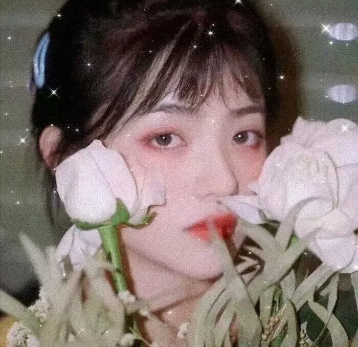 温蒂妮